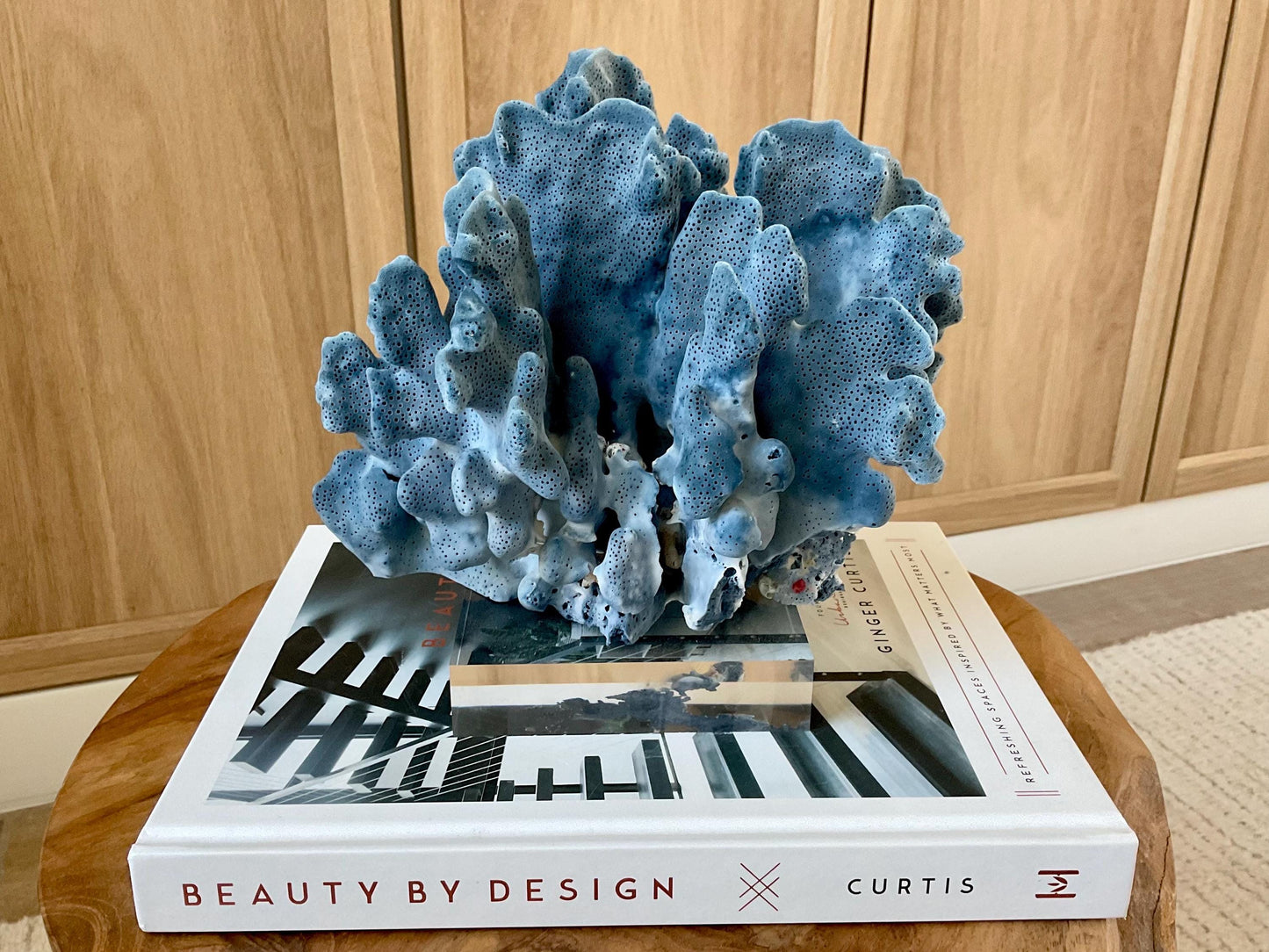 Genuine 100% Natural 8.5” Wide BLUE RIDGE CORAL Acrylic Mounted Ocean Reef Coastal Beach Décor Nautical Gift Real Ocean Treasure