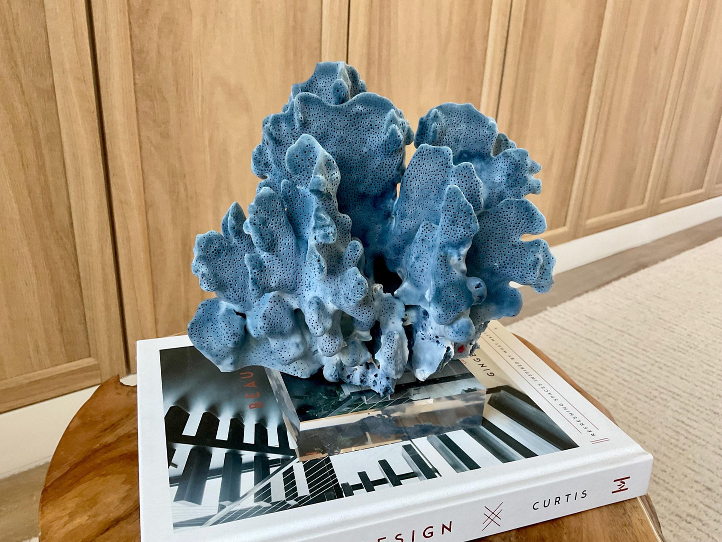 Genuine 100% Natural 8.5” Wide BLUE RIDGE CORAL Acrylic Mounted Ocean Reef Coastal Beach Décor Nautical Gift Real Ocean Treasure