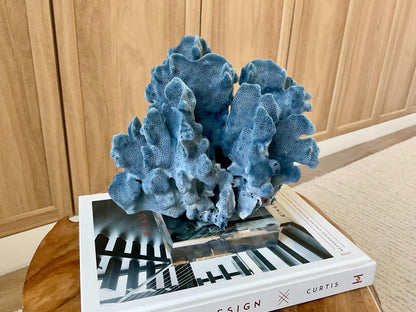 Genuine 100% Natural 8.5” Wide BLUE RIDGE CORAL Acrylic Mounted Ocean Reef Coastal Beach Décor Nautical Gift Real Ocean Treasure