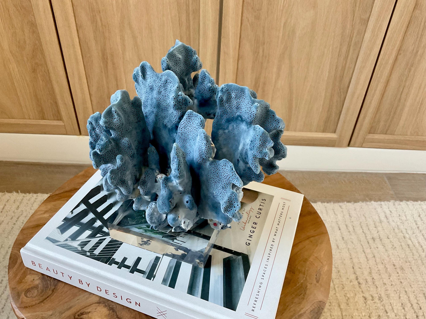 Genuine 100% Natural 8.5” Wide BLUE RIDGE CORAL Acrylic Mounted Ocean Reef Coastal Beach Décor Nautical Gift Real Ocean Treasure