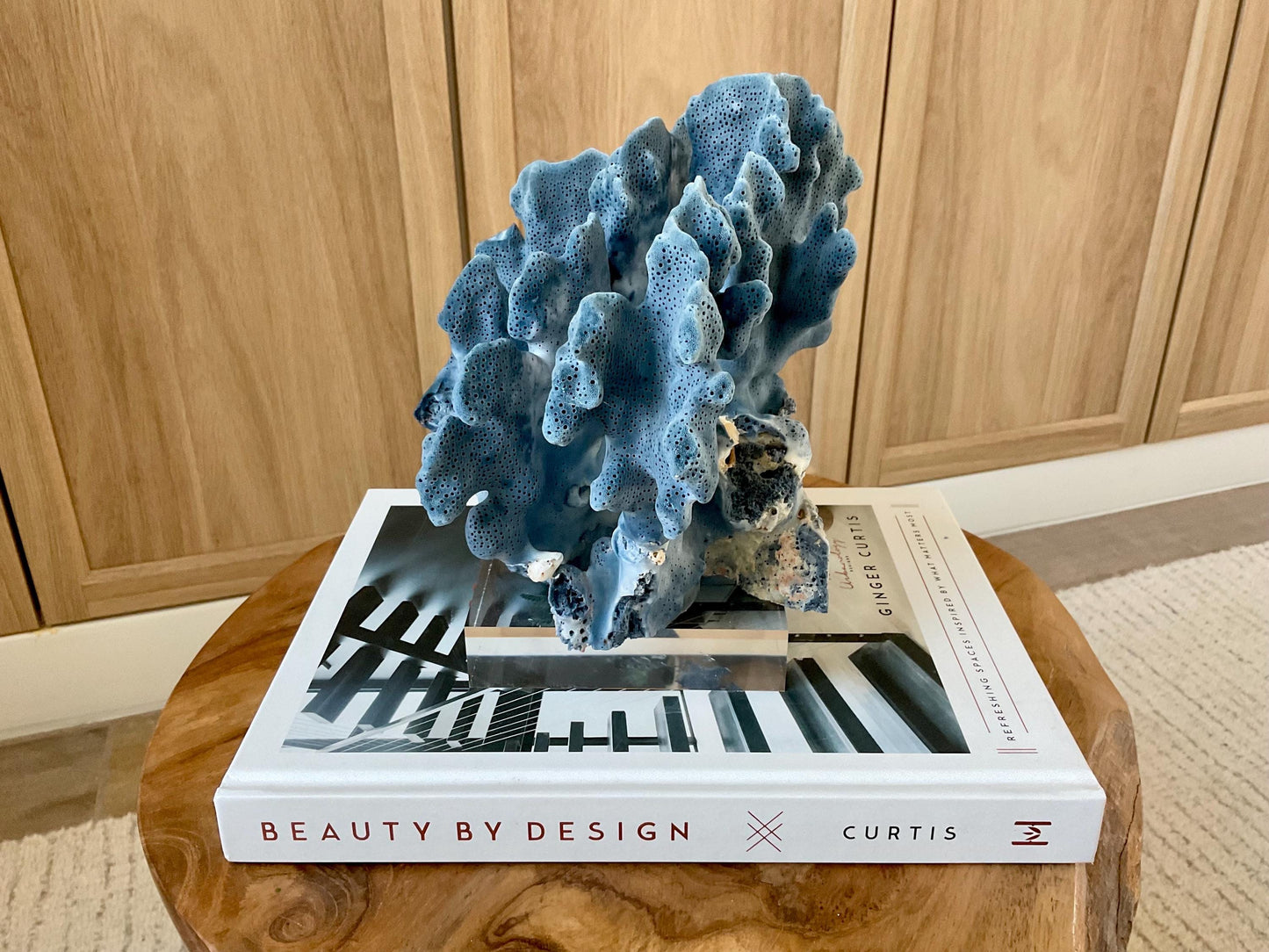 Genuine 100% Natural 8.5” Wide BLUE RIDGE CORAL Acrylic Mounted Ocean Reef Coastal Beach Décor Nautical Gift Real Ocean Treasure