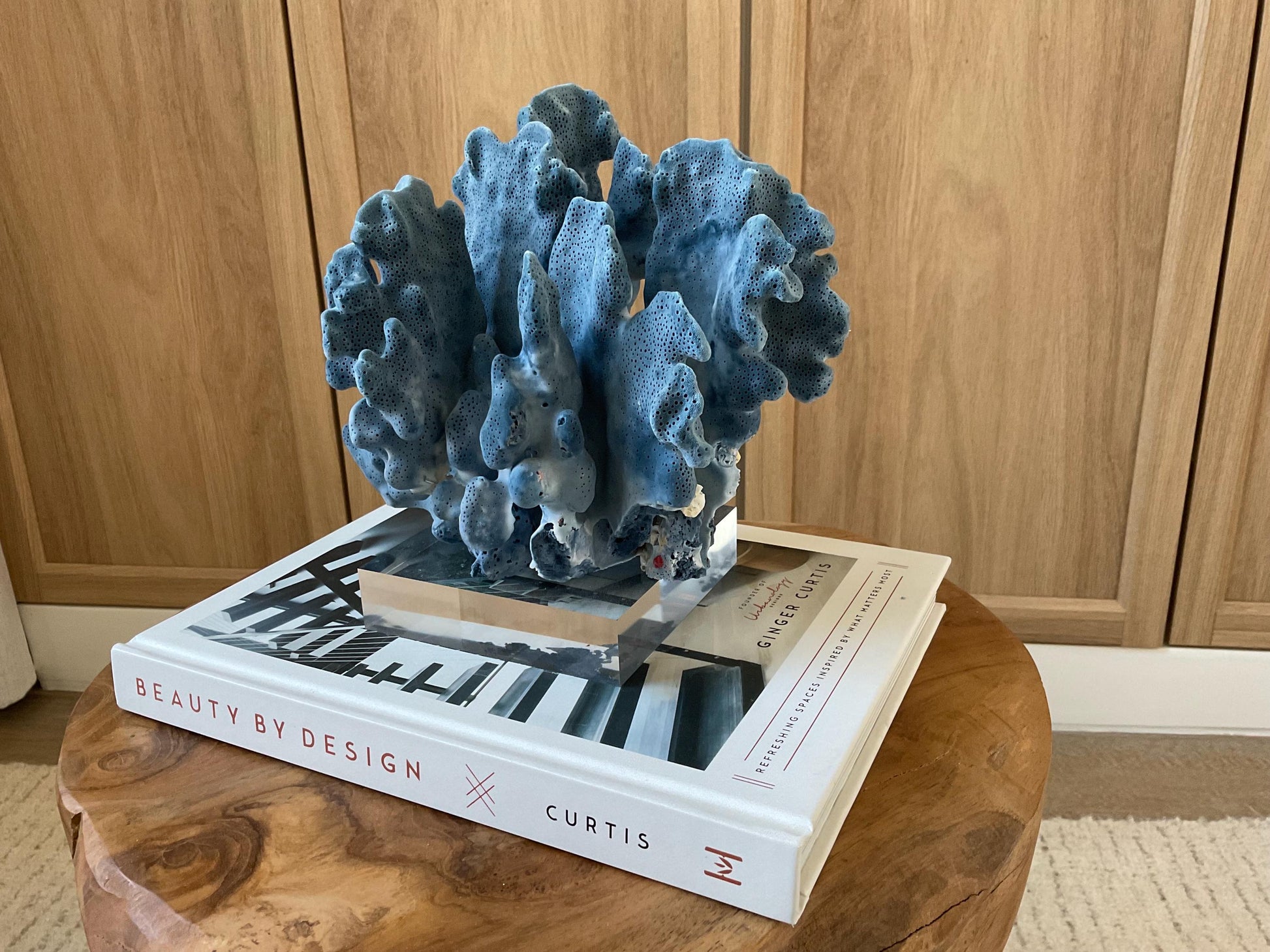 Genuine 100% Natural 8.5” Wide BLUE RIDGE CORAL Acrylic Mounted Ocean Reef Coastal Beach Décor Nautical Gift Real Ocean Treasure