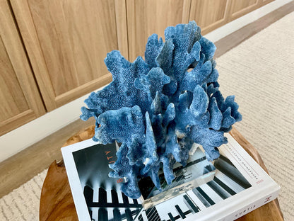 Genuine 100% Natural 8” Tall BLUE RIDGE CORAL Acrylic Mounted Ocean Reef Coastal Beach Décor Nautical Gift Real Ocean Treasure