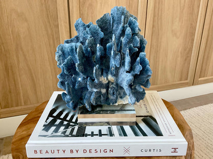 Genuine 100% Natural 8” Tall BLUE RIDGE CORAL Acrylic Mounted Ocean Reef Coastal Beach Décor Nautical Gift Real Ocean Treasure