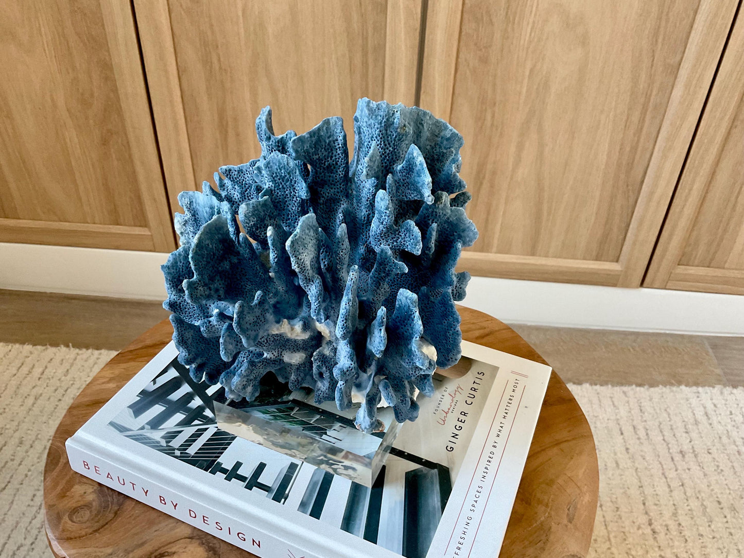 Genuine 100% Natural 8” Tall BLUE RIDGE CORAL Acrylic Mounted Ocean Reef Coastal Beach Décor Nautical Gift Real Ocean Treasure