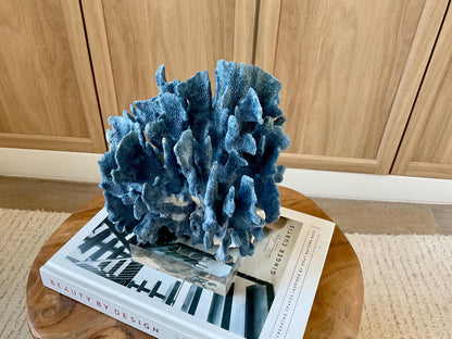 Genuine 100% Natural 8” Tall BLUE RIDGE CORAL Acrylic Mounted Ocean Reef Coastal Beach Décor Nautical Gift Real Ocean Treasure