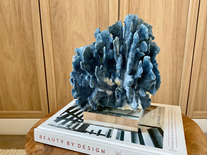 Genuine 100% Natural 8” Tall BLUE RIDGE CORAL Acrylic Mounted Ocean Reef Coastal Beach Décor Nautical Gift Real Ocean Treasure