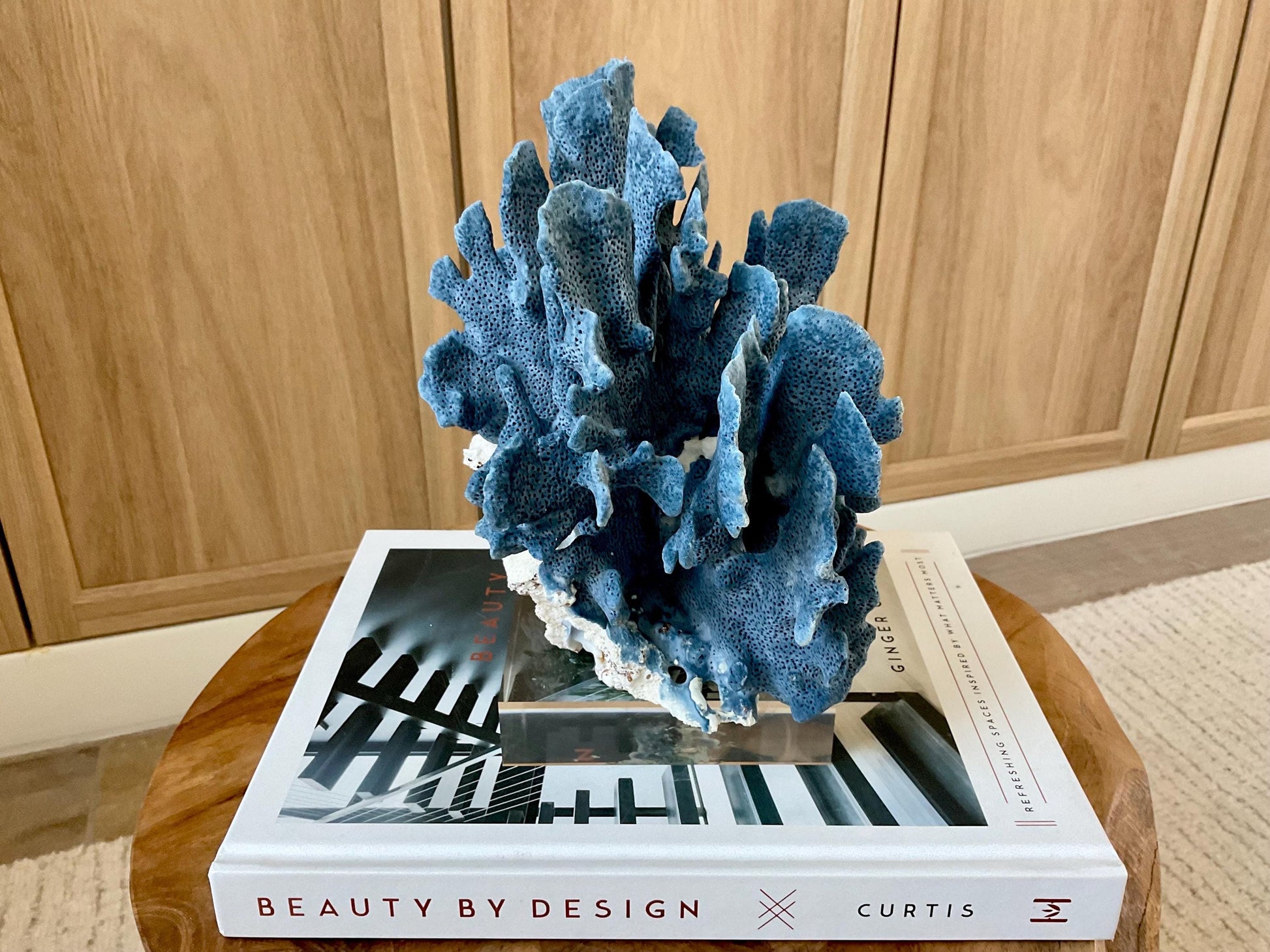 Genuine 100% Natural 8” Tall BLUE RIDGE CORAL Acrylic Mounted Ocean Reef Coastal Beach Décor Nautical Gift Real Ocean Treasure