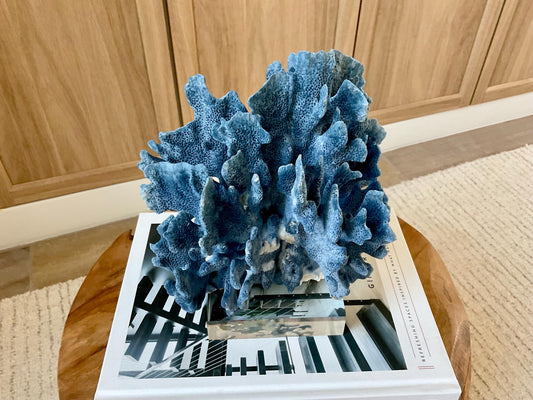 Genuine 100% Natural 8” Tall BLUE RIDGE CORAL Acrylic Mounted Ocean Reef Coastal Beach Décor Nautical Gift Real Ocean Treasure