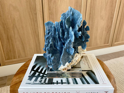 Genuine 100% Natural 8” Tall BLUE RIDGE CORAL Acrylic Mounted Ocean Reef Coastal Beach Décor Nautical Gift Real Ocean Treasure