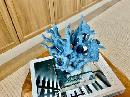 Genuine 100% Natural 8” Tall BLUE RIDGE CORAL Acrylic Mounted Ocean Reef Coastal Beach Décor Nautical Gift Real Ocean Treasure