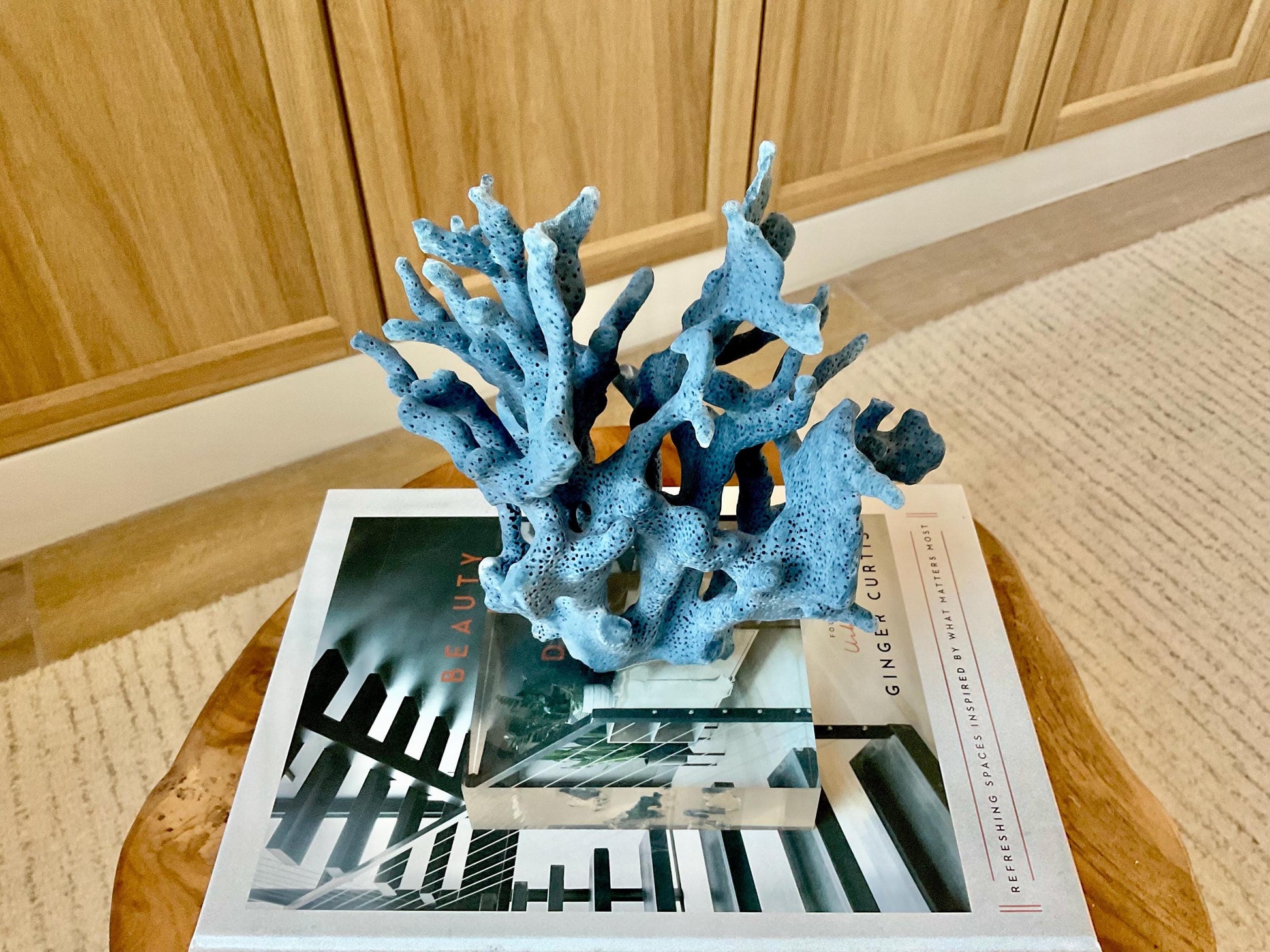 Genuine 100% Natural 8” Tall BLUE RIDGE CORAL Acrylic Mounted Ocean Reef Coastal Beach Décor Nautical Gift Real Ocean Treasure