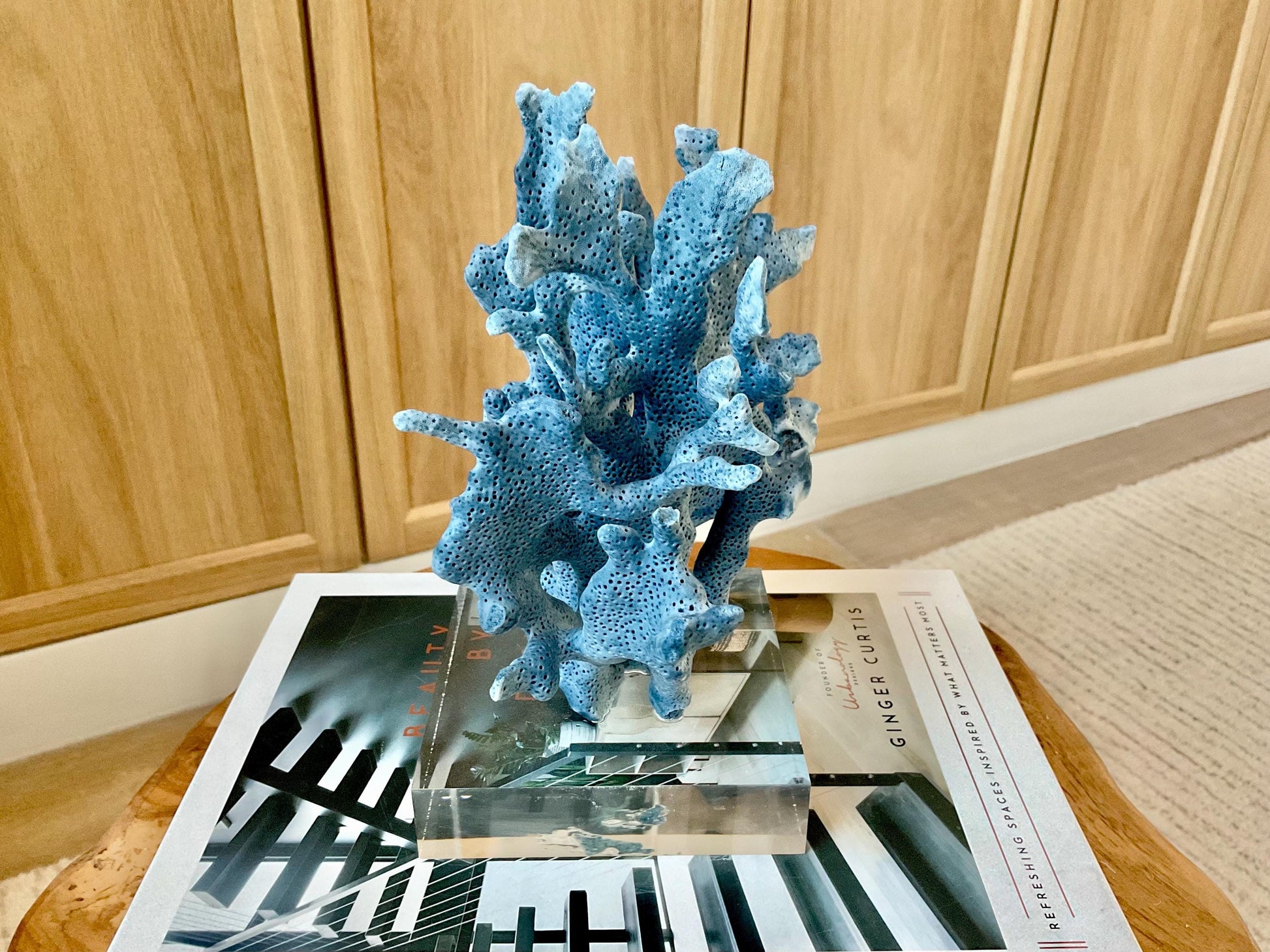 Genuine 100% Natural 8” Tall BLUE RIDGE CORAL Acrylic Mounted Ocean Reef Coastal Beach Décor Nautical Gift Real Ocean Treasure