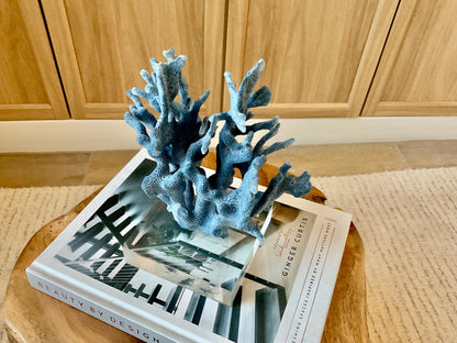 Genuine 100% Natural 8” Tall BLUE RIDGE CORAL Acrylic Mounted Ocean Reef Coastal Beach Décor Nautical Gift Real Ocean Treasure