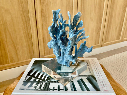 Genuine 100% Natural 8” Tall BLUE RIDGE CORAL Acrylic Mounted Ocean Reef Coastal Beach Décor Nautical Gift Real Ocean Treasure