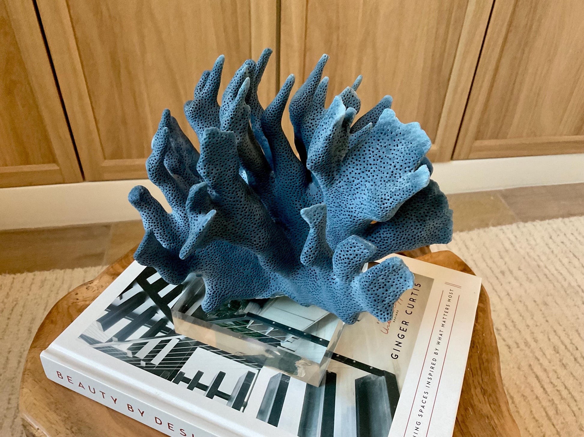 Genuine 100% Natural 8” Wide Dark BLUE RIDGE CORAL Acrylic Mounted Ocean Reef Coastal Beach Décor Nautical Gift Real Ocean Treasure