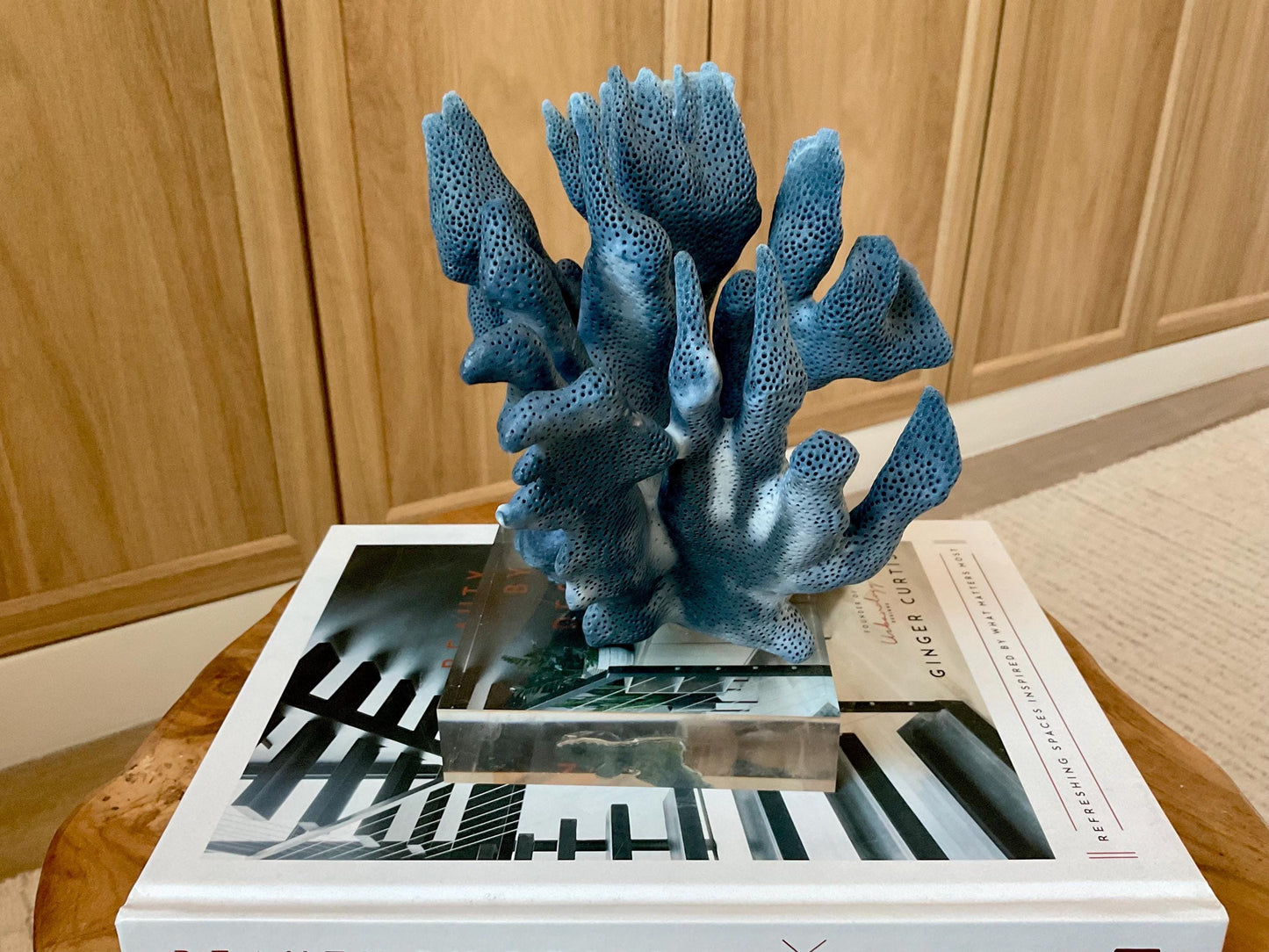 Genuine 100% Natural 8” Wide Dark BLUE RIDGE CORAL Acrylic Mounted Ocean Reef Coastal Beach Décor Nautical Gift Real Ocean Treasure