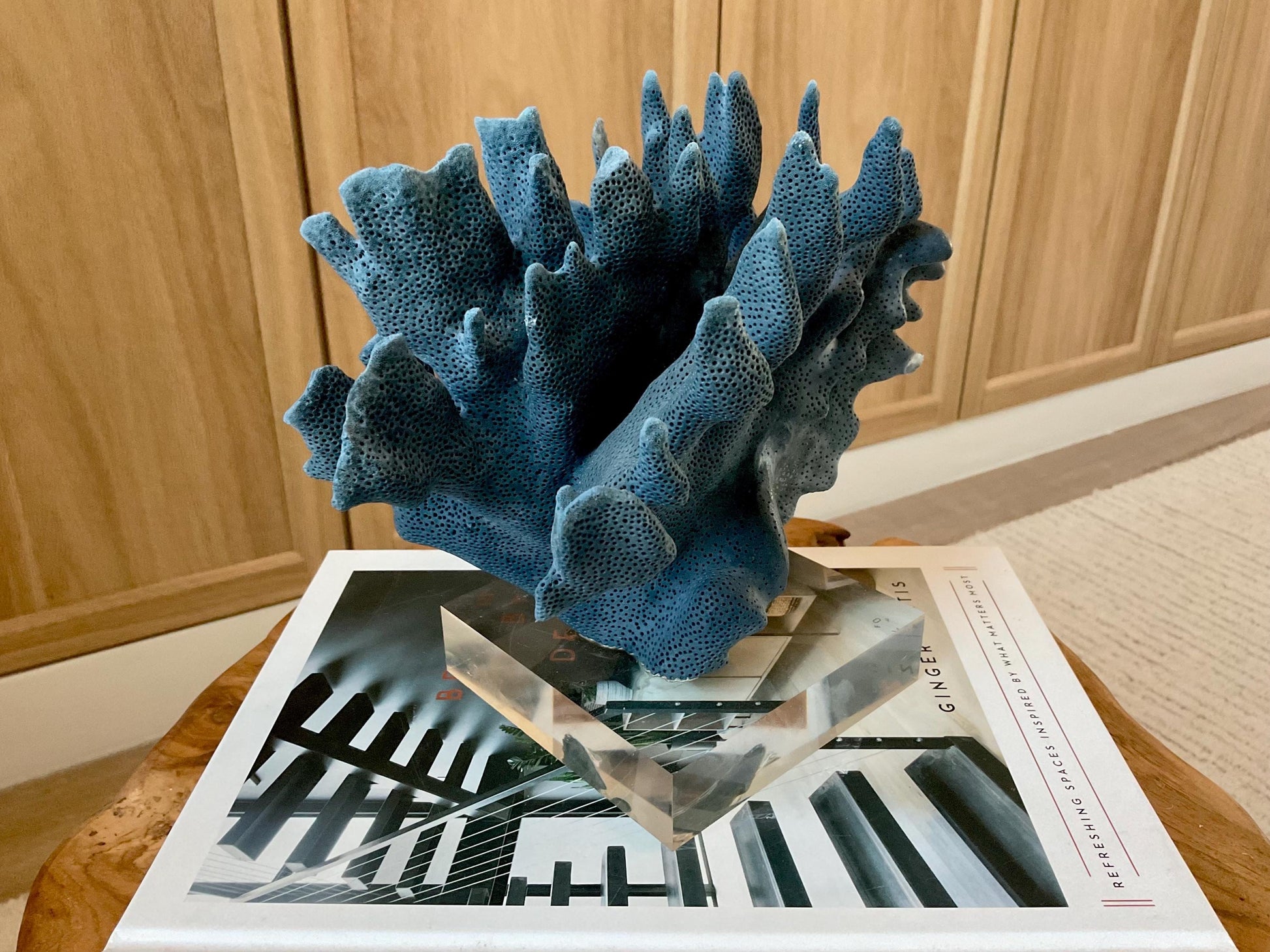 Genuine 100% Natural 8” Wide Dark BLUE RIDGE CORAL Acrylic Mounted Ocean Reef Coastal Beach Décor Nautical Gift Real Ocean Treasure