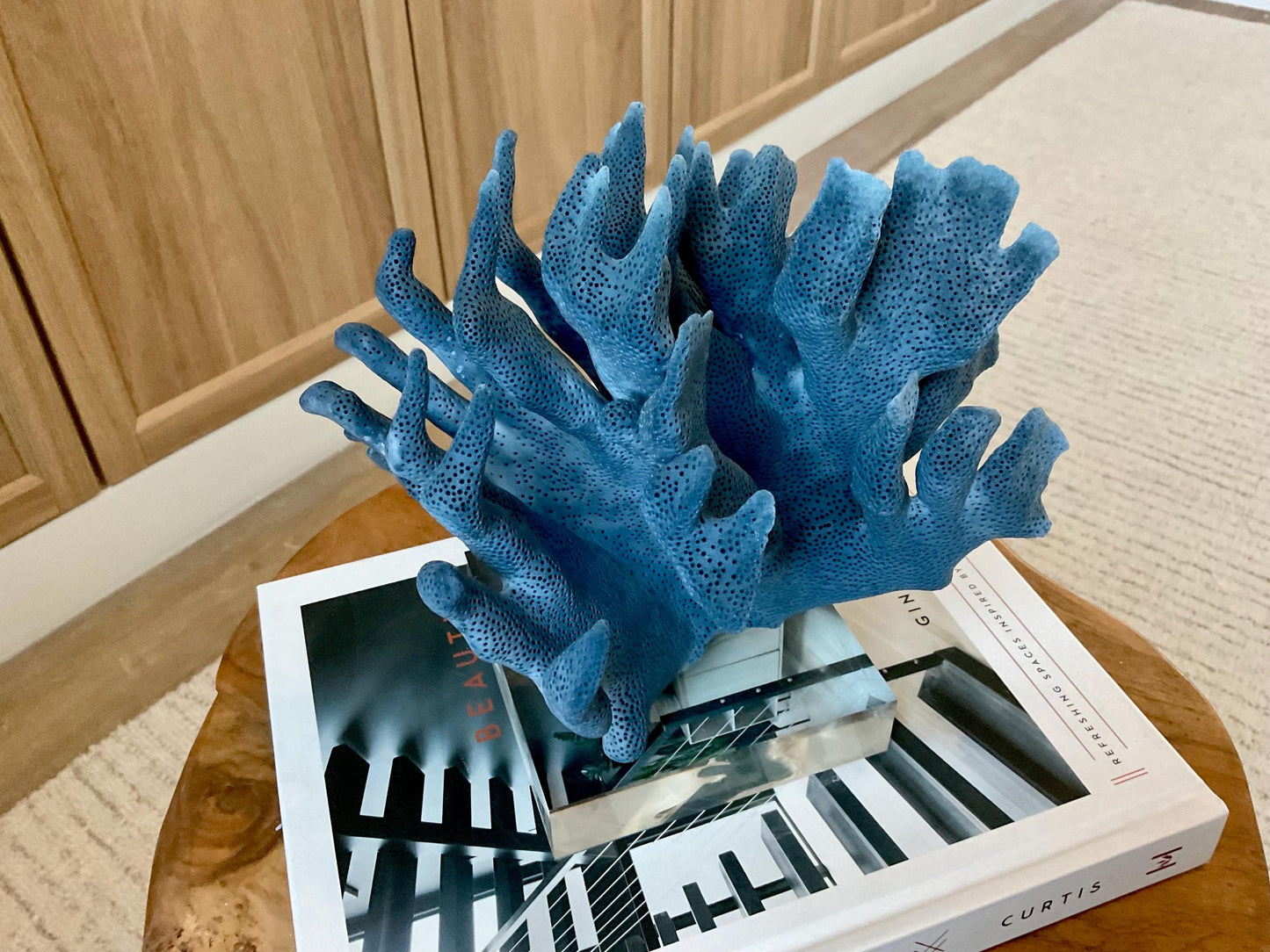 Genuine 100% Natural 8” Wide Dark BLUE RIDGE CORAL Acrylic Mounted Ocean Reef Coastal Beach Décor Nautical Gift Real Ocean Treasure