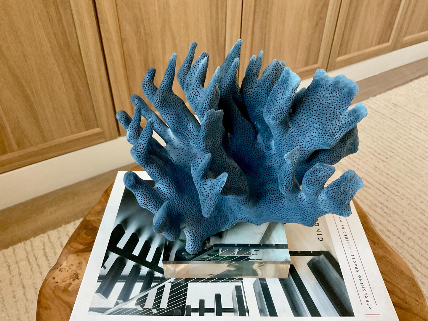 Genuine 100% Natural 8” Wide Dark BLUE RIDGE CORAL Acrylic Mounted Ocean Reef Coastal Beach Décor Nautical Gift Real Ocean Treasure