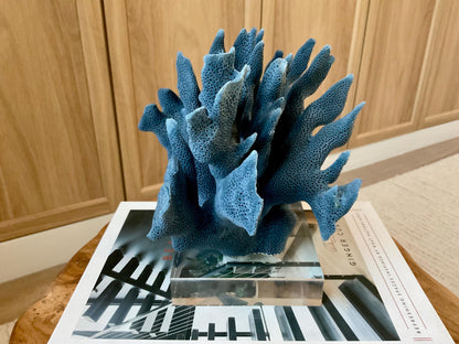 Genuine 100% Natural 8” Wide Dark BLUE RIDGE CORAL Acrylic Mounted Ocean Reef Coastal Beach Décor Nautical Gift Real Ocean Treasure