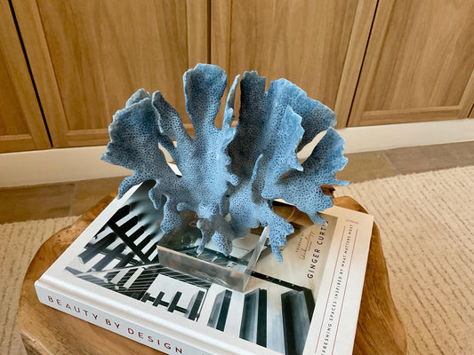 Genuine 100% Natural 7” Tall BLUE RIDGE CORAL Acrylic Mounted Ocean Reef Coastal Beach Décor Nautical Gift Real Ocean Treasure