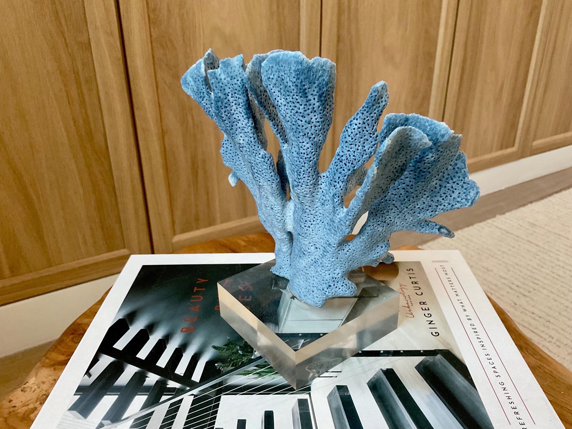 Genuine 100% Natural 7” Tall BLUE RIDGE CORAL Acrylic Mounted Ocean Reef Coastal Beach Décor Nautical Gift Real Ocean Treasure