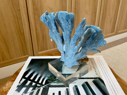 Genuine 100% Natural 7” Tall BLUE RIDGE CORAL Acrylic Mounted Ocean Reef Coastal Beach Décor Nautical Gift Real Ocean Treasure