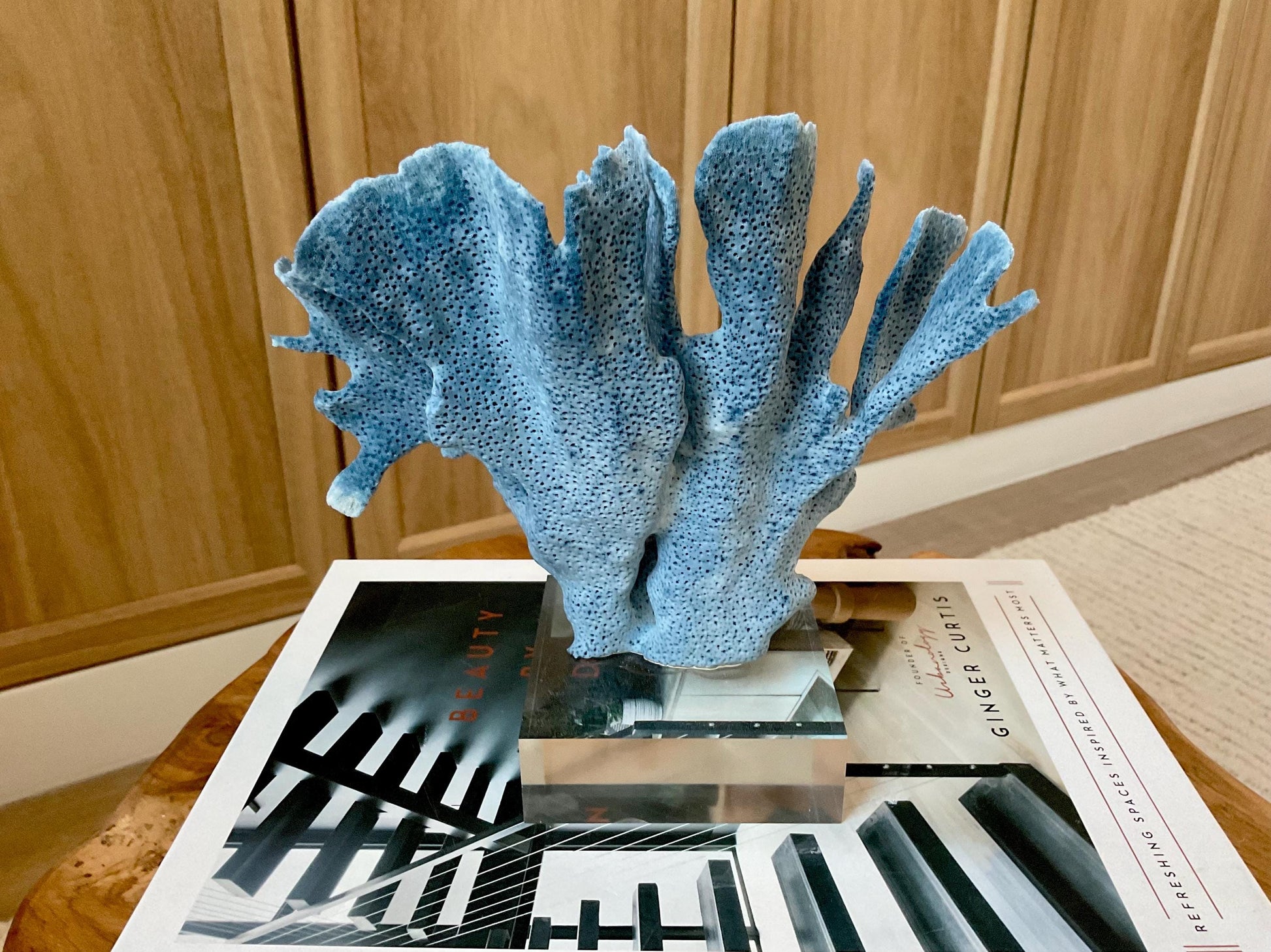 Genuine 100% Natural 7” Tall BLUE RIDGE CORAL Acrylic Mounted Ocean Reef Coastal Beach Décor Nautical Gift Real Ocean Treasure