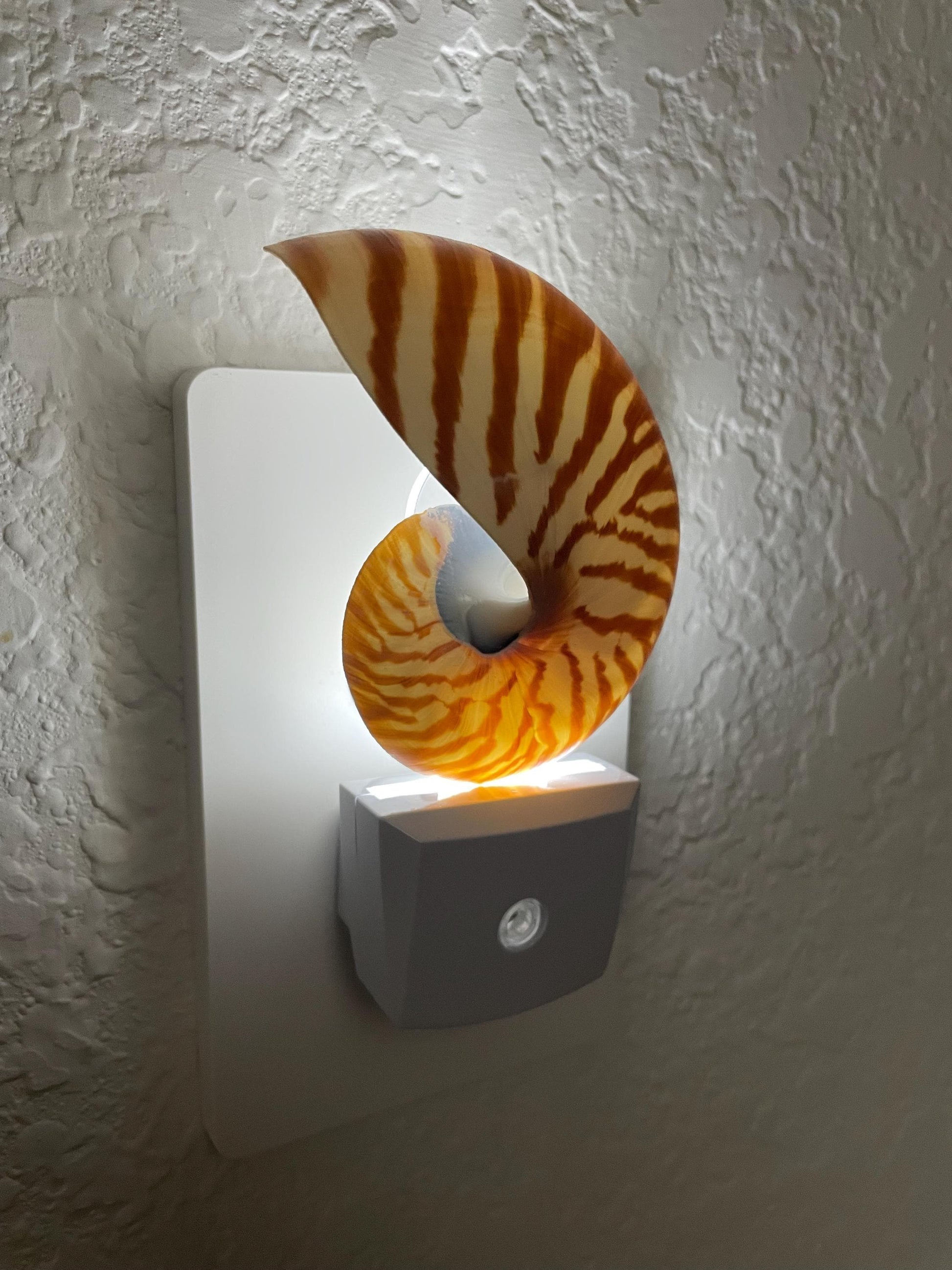 NAUTILUS NIGHT LIGHT Solar Powered Striped Chambered Natural Brown White Tiger Stripe Display Seashell Coastal Beach House Décor Gift