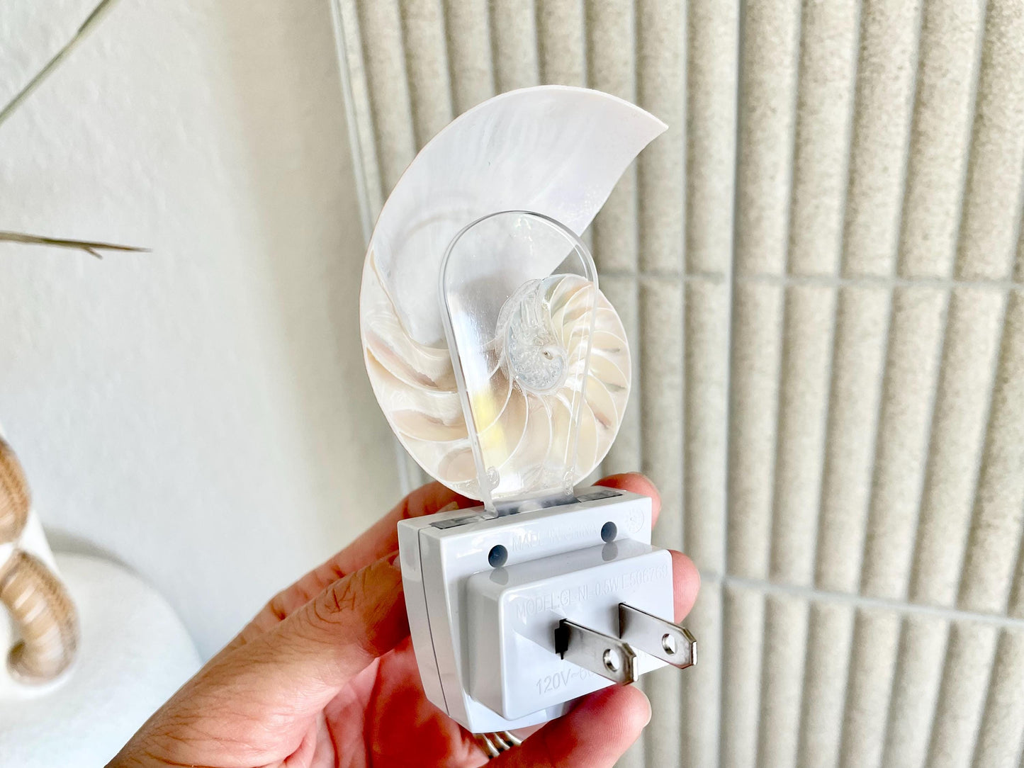 NAUTILUS NIGHT LIGHT Solar Powered Striped Chambered Natural Brown White Tiger Stripe Display Seashell Coastal Beach House Décor Gift