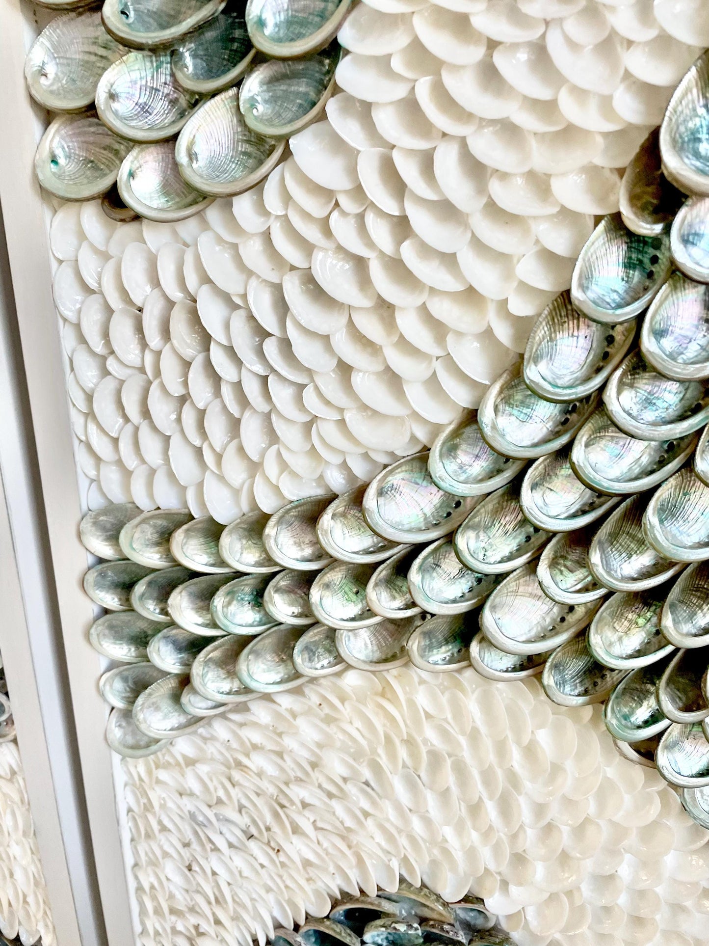 Minimalist Organic Shell Wall Art 5'x3' Modern Coastal Framed Abalone Clam Seashell Panels Textured Beach Hanging White Grey Silver
