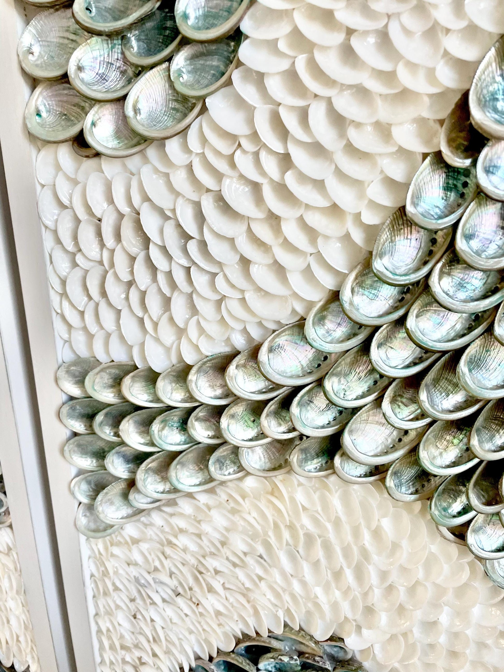 Minimalist Organic Shell Wall Art 5'x3' Modern Coastal Framed Abalone Clam Seashell Panels Textured Beach Hanging White Grey Silver