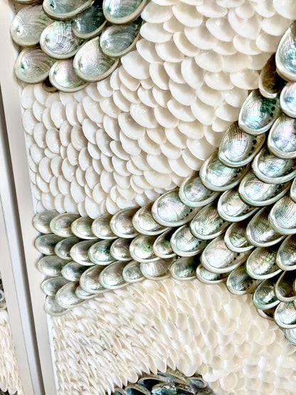 Minimalist Organic Shell Wall Art 5'x3' Modern Coastal Framed Abalone Clam Seashell Panels Textured Beach Hanging White Grey Silver