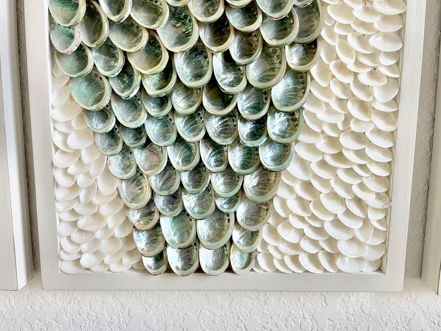 Minimalist Organic Shell Wall Art 5'x3' Modern Coastal Framed Abalone Clam Seashell Panels Textured Beach Hanging White Grey Silver