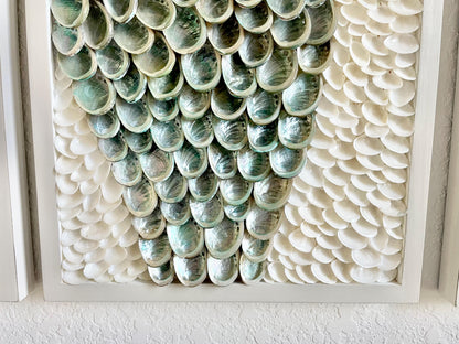 Minimalist Organic Shell Wall Art 5'x3' Modern Coastal Framed Abalone Clam Seashell Panels Textured Beach Hanging White Grey Silver