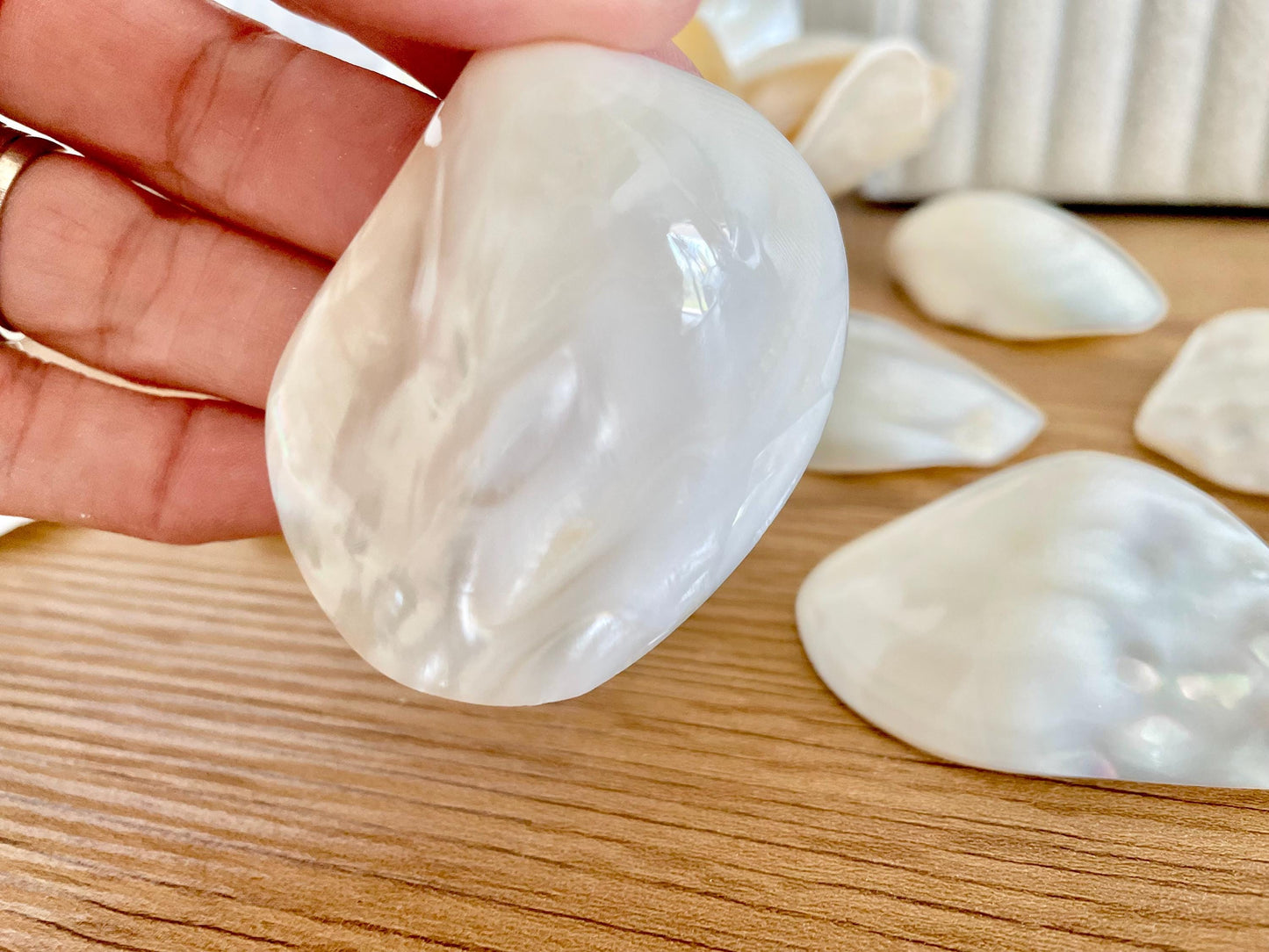 POLISHED CLAM PEARLS Fresh Water Half Shells *All Sizes* Jewelry Making Supply Craft Seashell