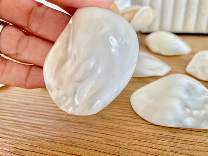 POLISHED CLAM PEARLS Fresh Water Half Shells *All Sizes* Jewelry Making Supply Craft Seashell