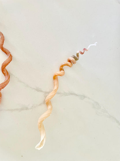 SPIRAL WORM SHELLS 6-8" Long Real Natural Display Seashell Beach Oddities Décor