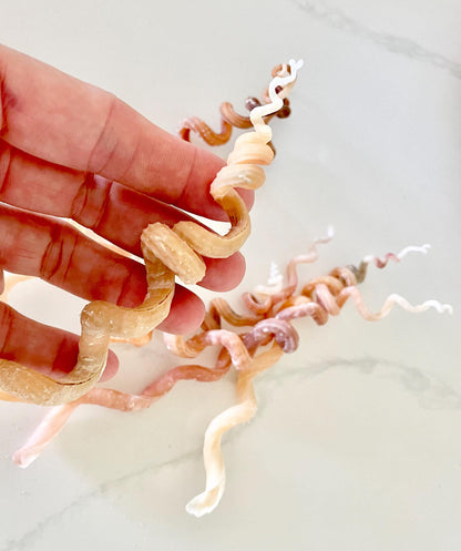SPIRAL WORM SHELLS 6-8" Long Real Natural Display Seashell Beach Oddities Décor