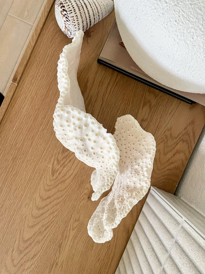 BLACK CUP CORAL Fossil 100% Natural 14.5"x8"x6" Coastal Beach Home Décor Display White