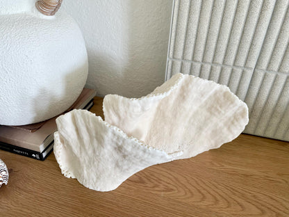 BLACK CUP CORAL Fossil 100% Natural 14.5"x8"x6" Coastal Beach Home Décor Display White