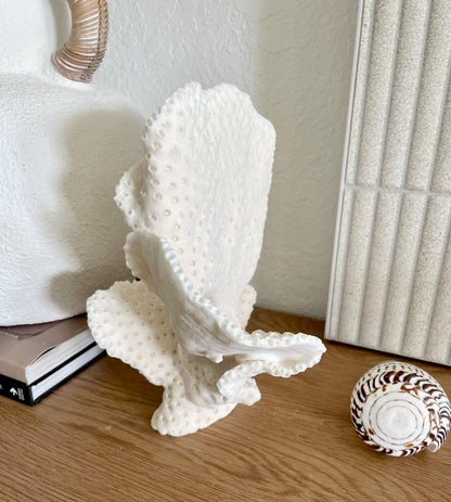 BLACK CUP CORAL Fossil 100% Natural 10"x9"x7" Coastal Beach Home Décor Display White