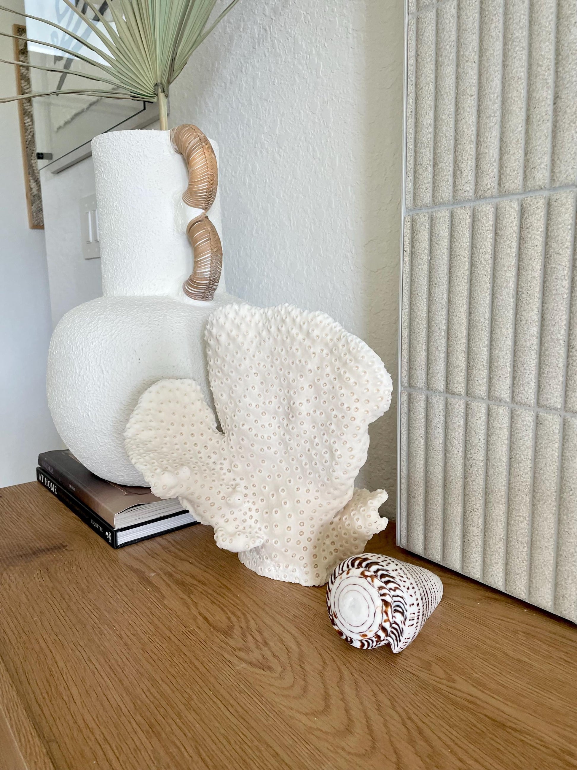 BLACK CUP CORAL Fossil 100% Natural 10"x9"x7" Coastal Beach Home Décor Display White