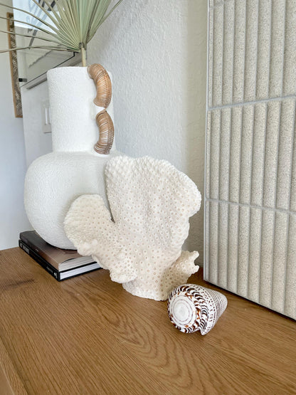 BLACK CUP CORAL Fossil 100% Natural 10"x9"x7" Coastal Beach Home Décor Display White