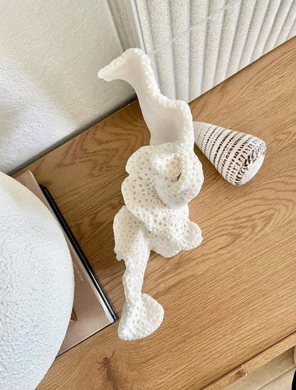 BLACK CUP CORAL Fossil 100% Natural 12"x9.5"x4.5" Coastal Beach Home Décor Display White