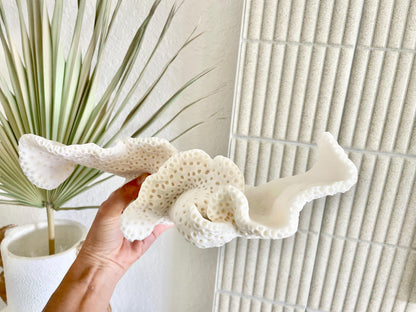 BLACK CUP CORAL Fossil 100% Natural 12"x9.5"x4.5" Coastal Beach Home Décor Display White