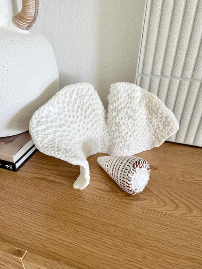 BLACK CUP CORAL Fossil 100% Natural 11"x6"x6" Coastal Beach Home Décor Display White