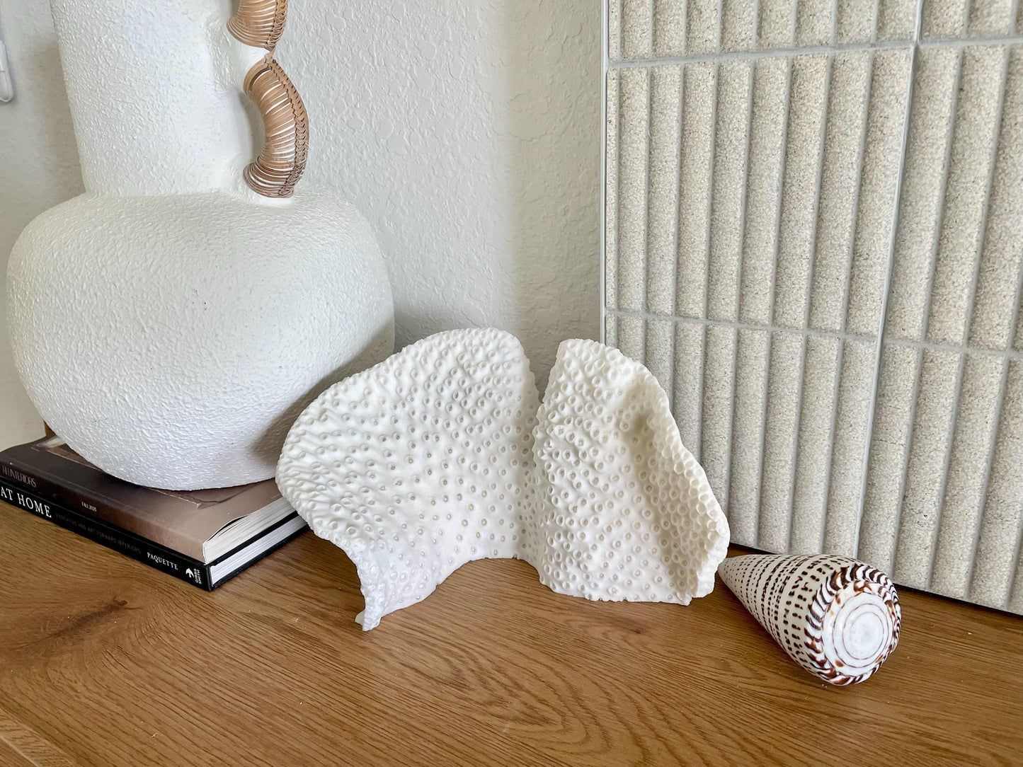 BLACK CUP CORAL Fossil 100% Natural 11"x6"x6" Coastal Beach Home Décor Display White