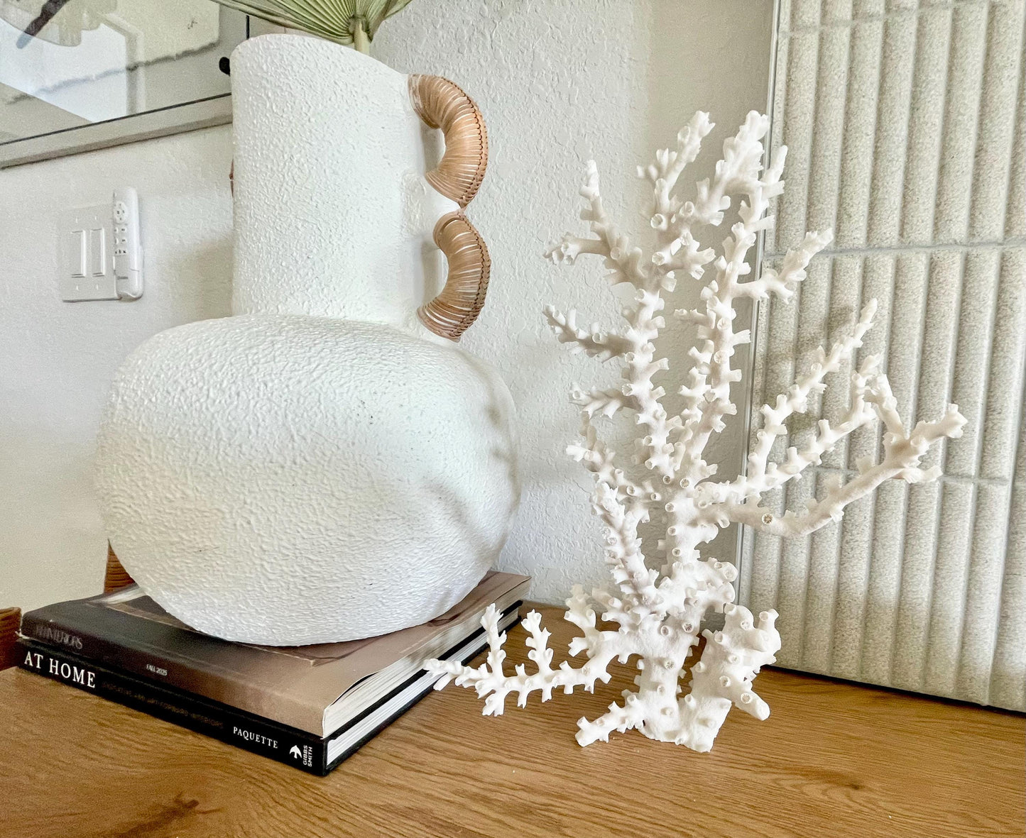 OCTOPUS CORAL Fossil 100% Natural 13"x12.5"x7" Coastal Beach Home Décor Display White